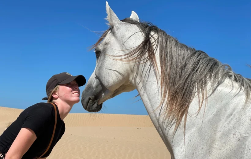 Horse ride in Taghazout