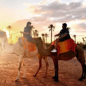From Taghazout / Tamraght Camel Ride