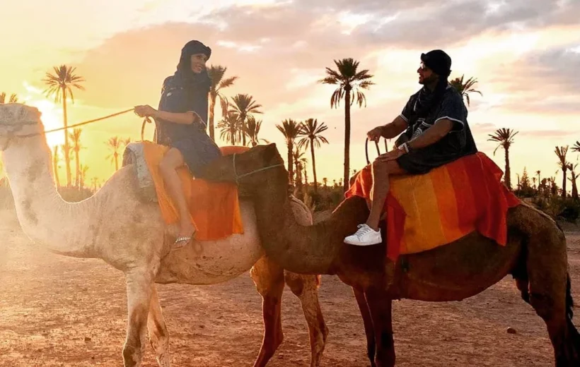 From Taghazout / Tamraght Camel Ride