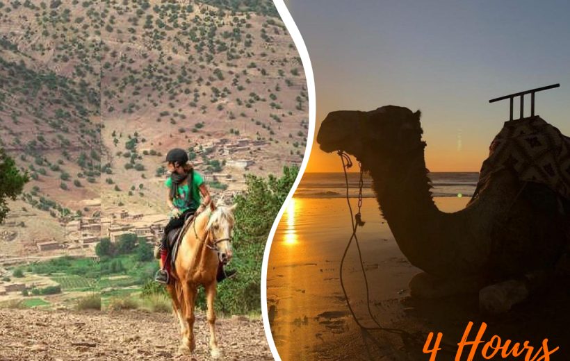 Horse Ride & Camel Ride