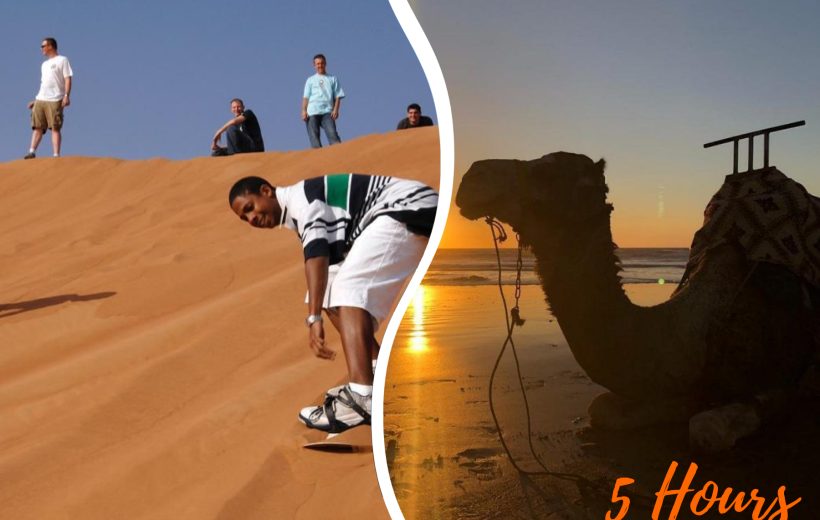 Sandboarding & Camel Ride