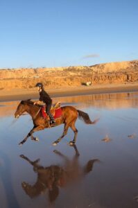From Agadir/Tamraght : Horse ride in Taghazout