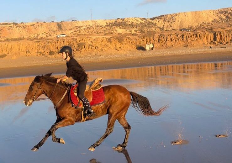 From Agadir/Tamraght : Horse ride in Taghazout