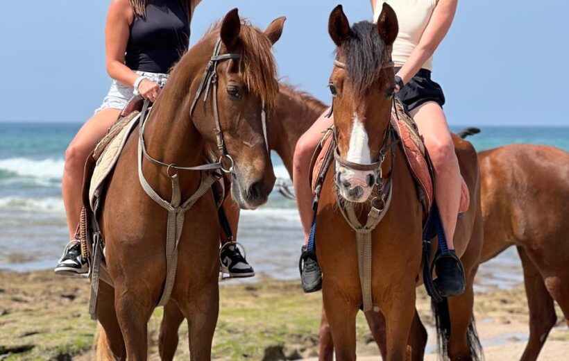 Half-Day Horse Riding Experience with Breakfast